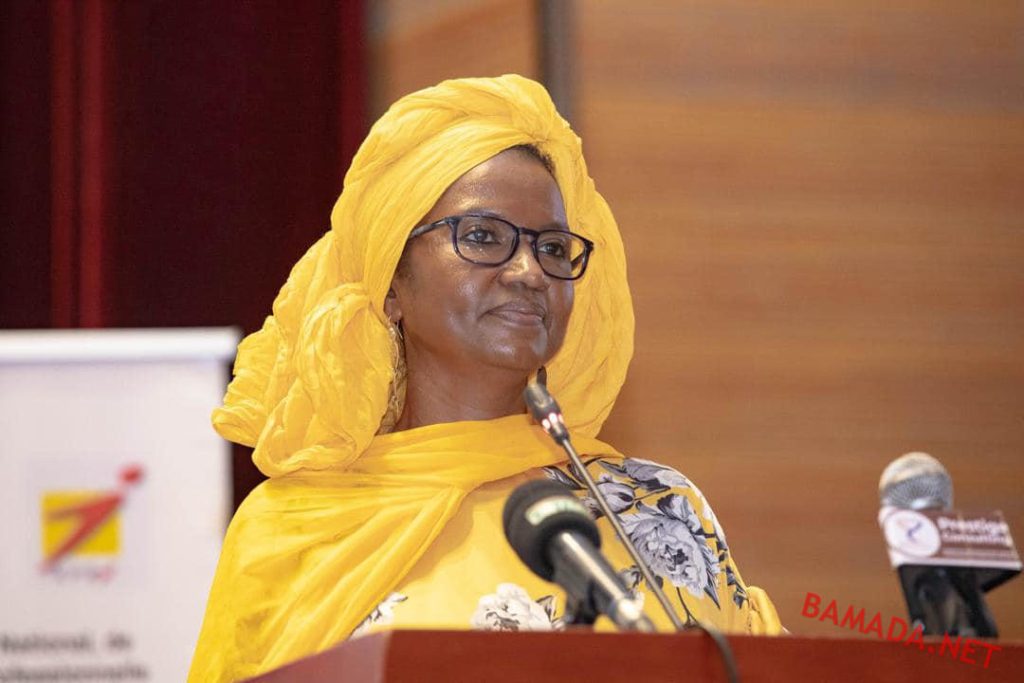 general-division-abdoulaye-maiga-jeunes-diplome-stagiaire-oumou-sall-seck-ministre-emploie-1024x683